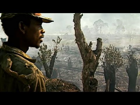 Carbon Nation: How Can Climate Change Be Stopped | Full Documentary