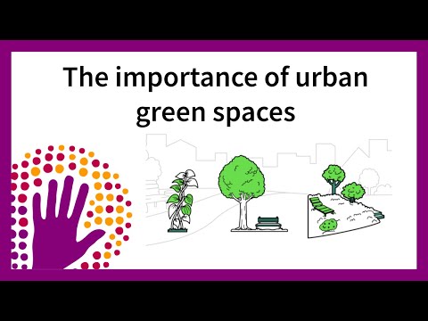 The importance of urban green spaces