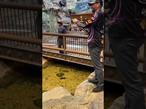 EPIC Fishing INSIDE Bass Pro Shops!!