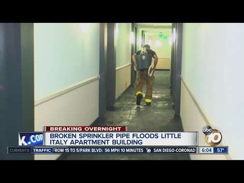 Faulty sprinkler floods Little Italy apartment building