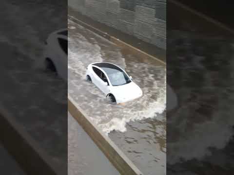 Tesla Model Y tries its hand at boating in flood waters.