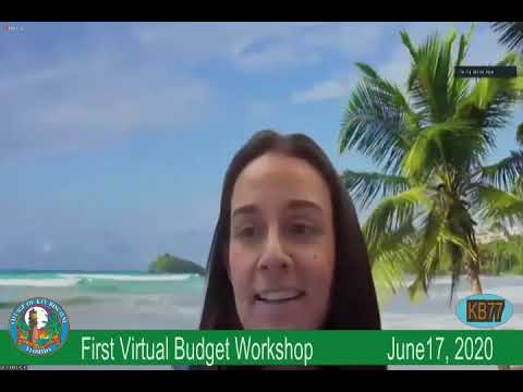 Virtual Budget Workshop June, 17 2020