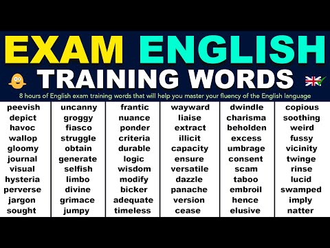 8 Hours of ENGLISH EXAM TRAINING WORDS with Example Phrases | English Speaking Practice