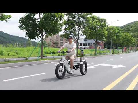 Exploring the Future of Transportation - Electric Cargo Bike Video Showcase!