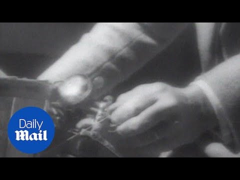 Fascinating 1940s footage of hidden camera in bike basket (related) - Daily Mail