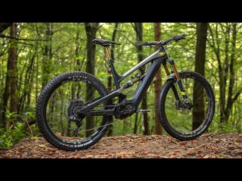 El Prieto Top 3 2020 Top 4 All time record YT Decoy full test Downhill review descent