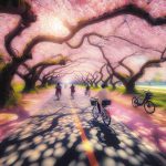 Experience the Beauty of Cherry Blossoms with Pedego’s Ebike Tours