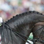 Lady Louise Windsor Embraces Eco-Friendly Adventures at Royal Windsor Horse Show