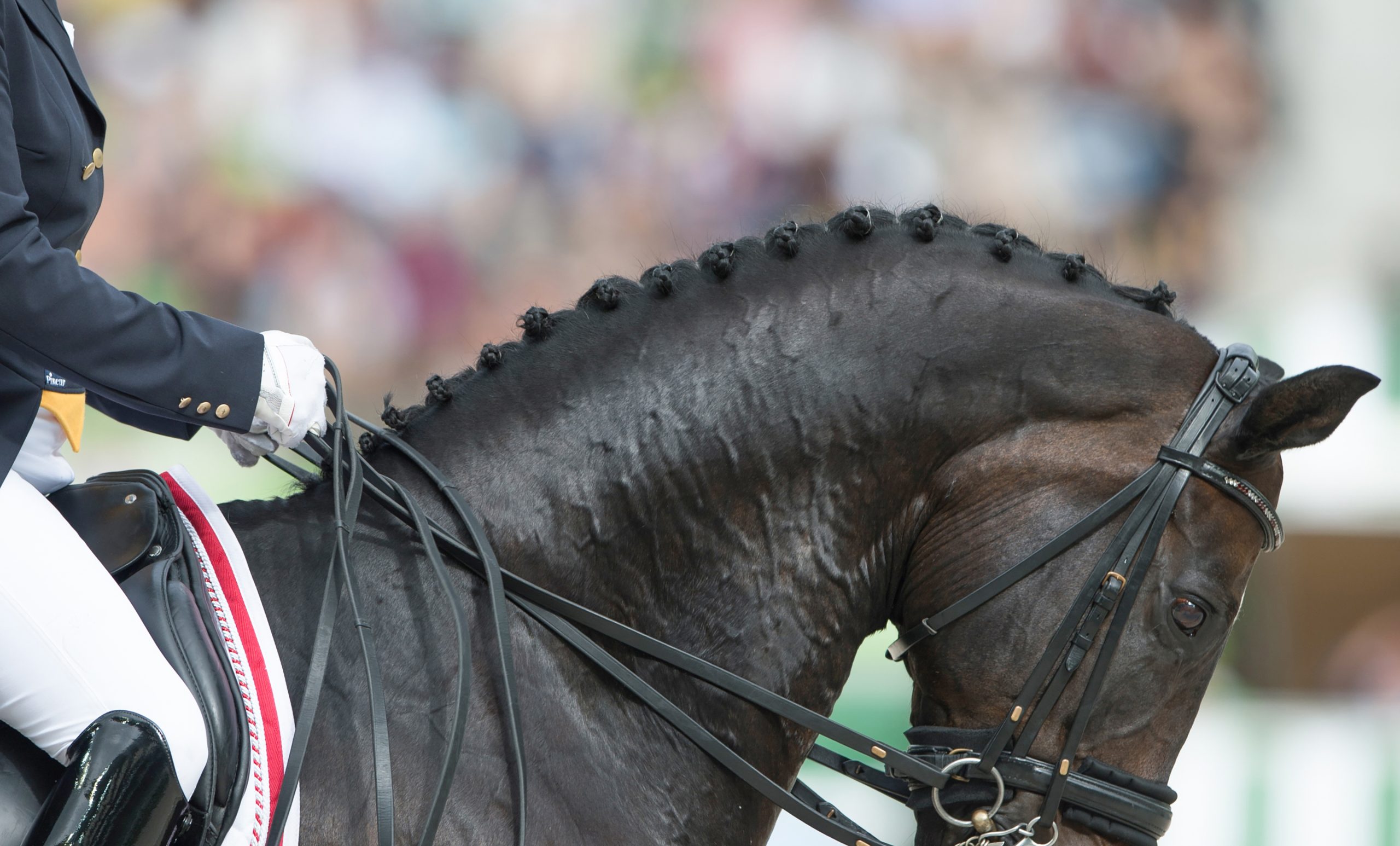 Lady Louise Windsor Embraces Eco-Friendly Adventures at Royal Windsor Horse Show