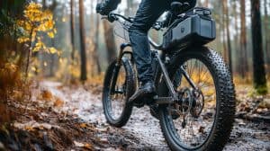 The Impact of 48V 20Ah Batteries on E-Bike Performance