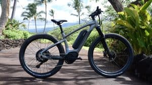 Electric Bike Thief Arrested; Hunt for Accomplice Continues in Kona