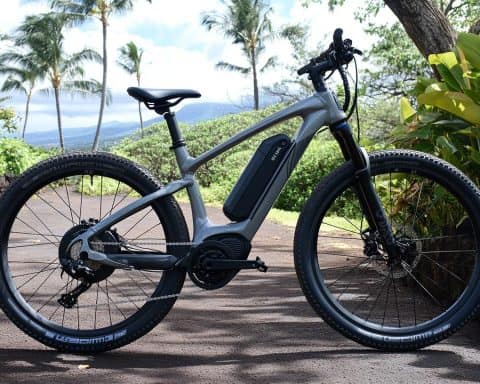 Electric Bike Thief Arrested; Hunt for Accomplice Continues in Kona