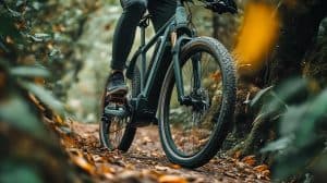 Swytch Revolutionizes E-Bike Kits with Enhanced Max+ Models